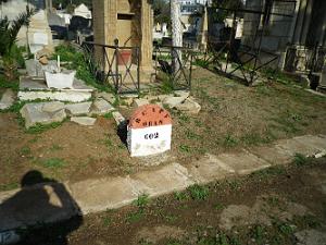 CIMETIERE DE TAMAZOUHET D ORAN EN MARS 2012  (29)